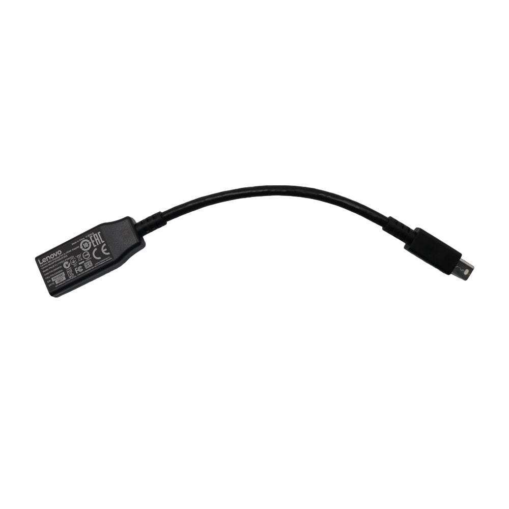 LENOVO MİNİ DİSPLAY PORT TO HDMI ADAPTER TYPE2-PS8402A