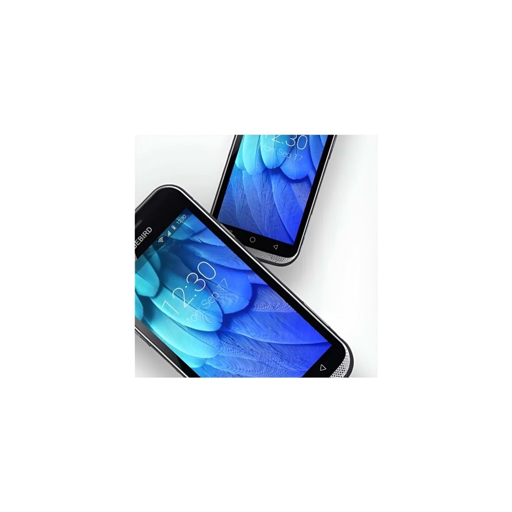 Bluebird EF501 Android El Terminali 4/64