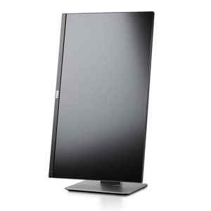 Dell UltraSharp U2414HB 24” IPS Full HD Monitör | Pivot Ergonomik - İkinci EL