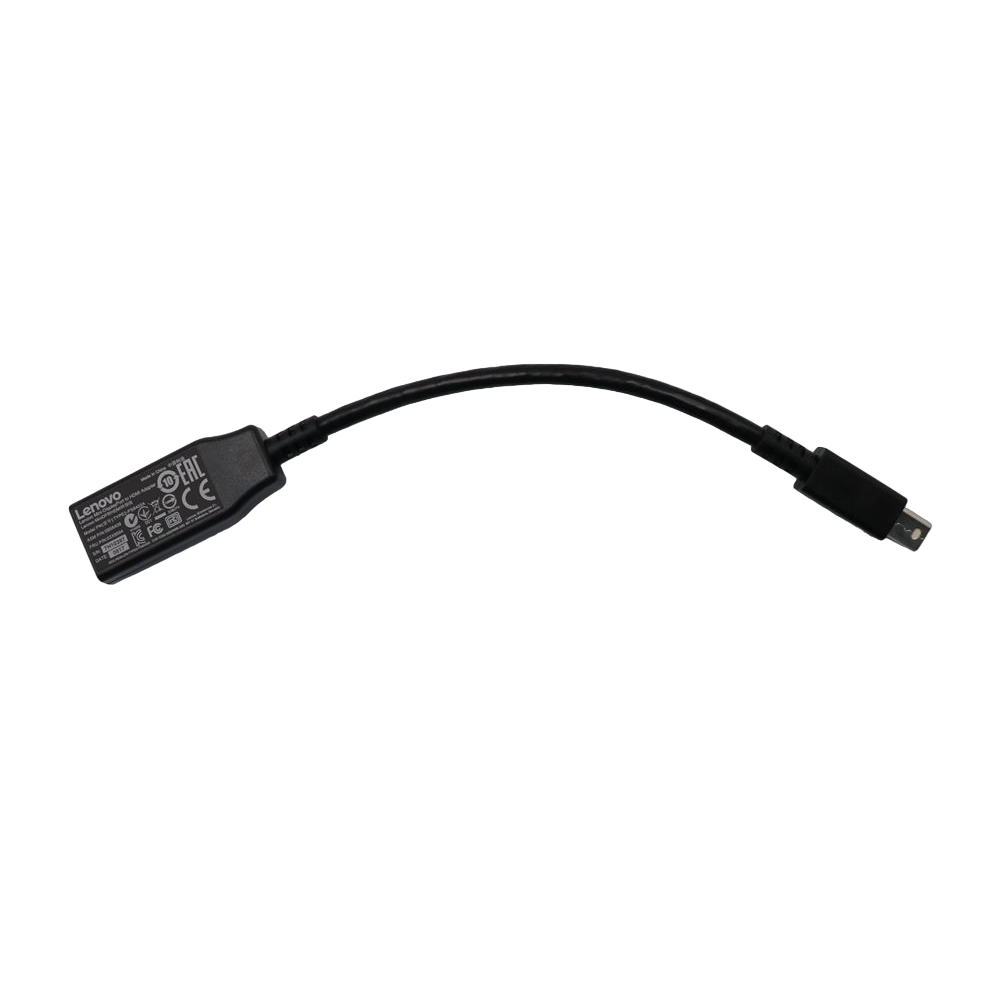 LENOVO MİNİ DİSPLAY PORT TO HDMI ADAPTER TYPE2-PS8402A